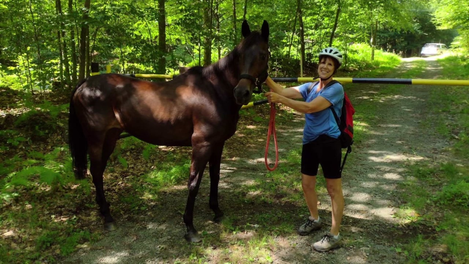 A 20-year-old horse went missing in Promised Land State Park.