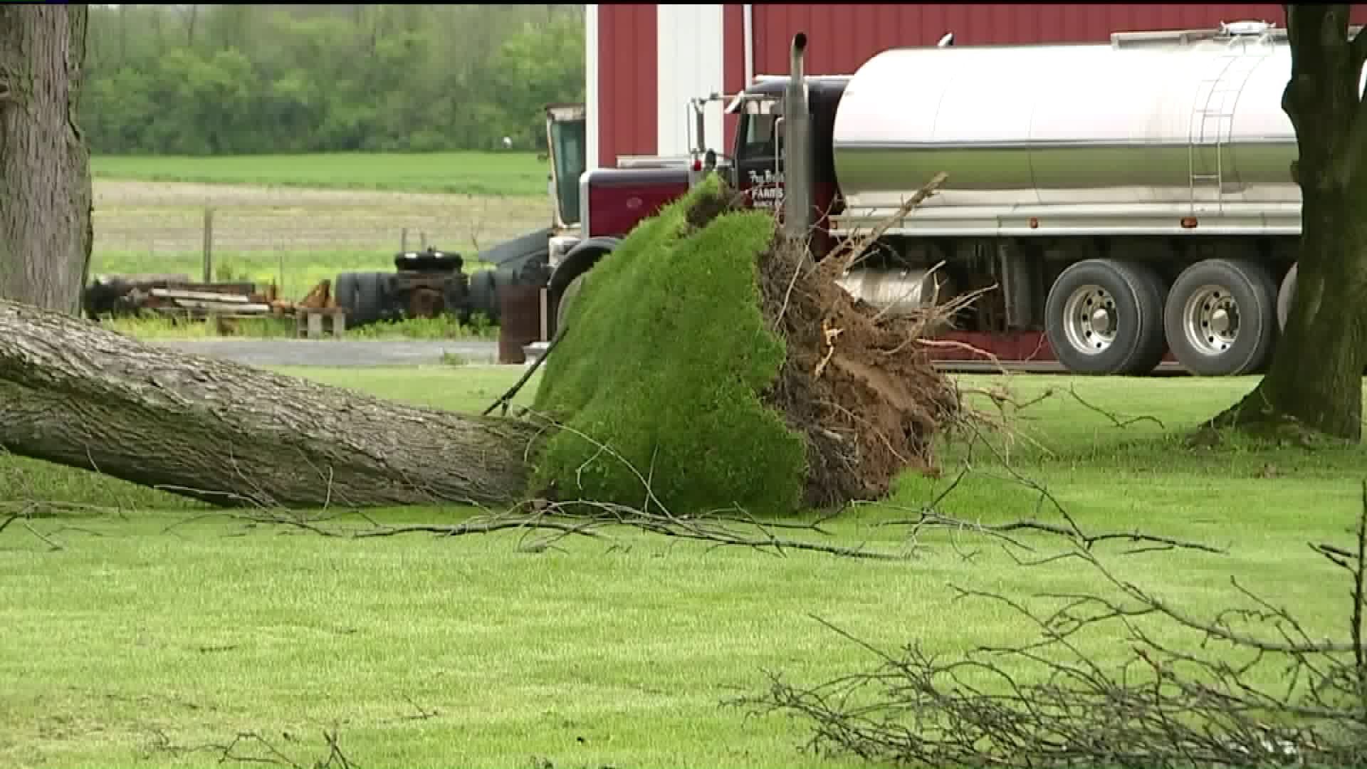 High Winds Cause More Damage in Lycoming County