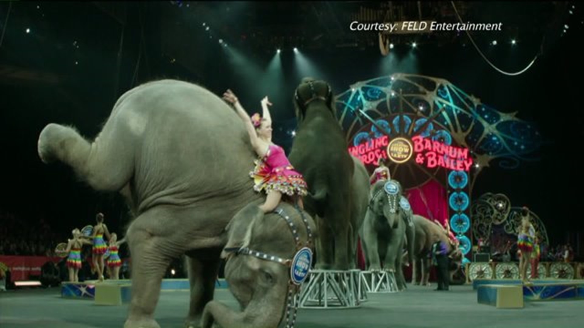 Mixed Reaction to Closing of Ringling Brothers Circus