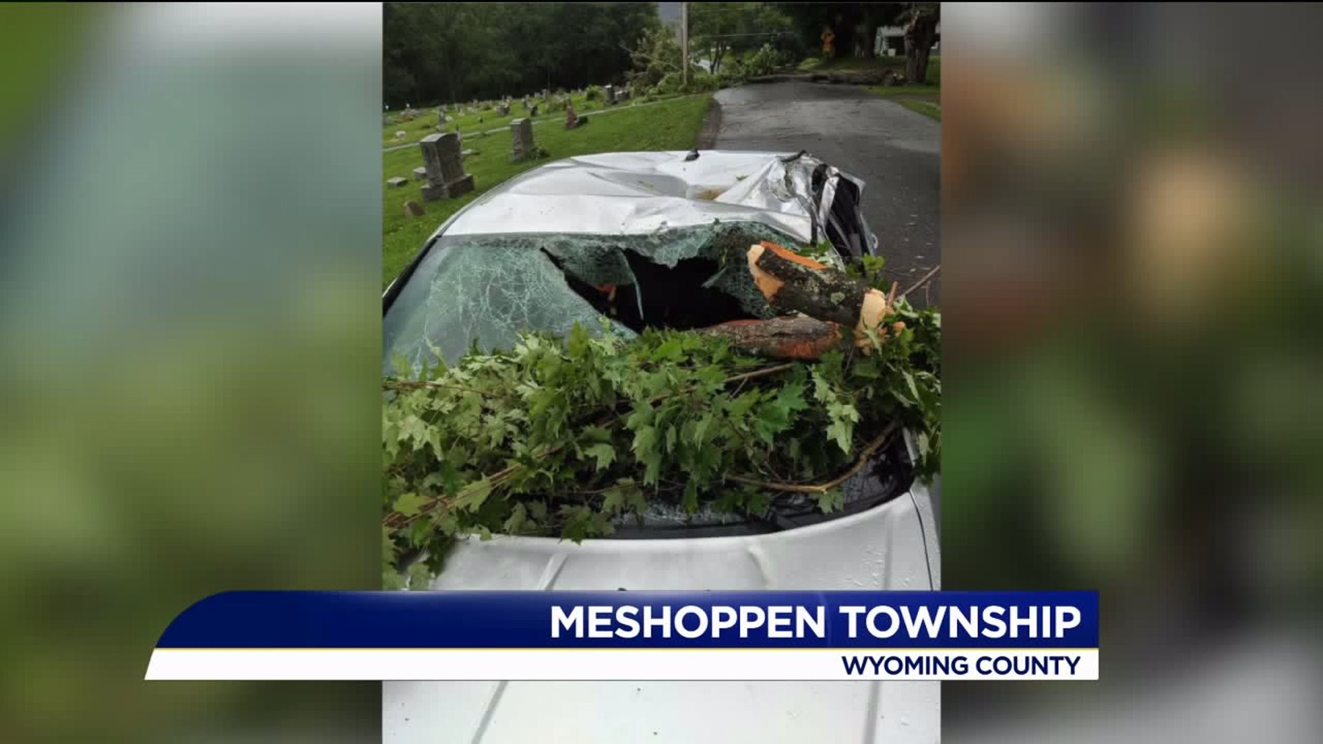 Tree Falls onto Car After Heavy Wind and Rain in Wyoming County