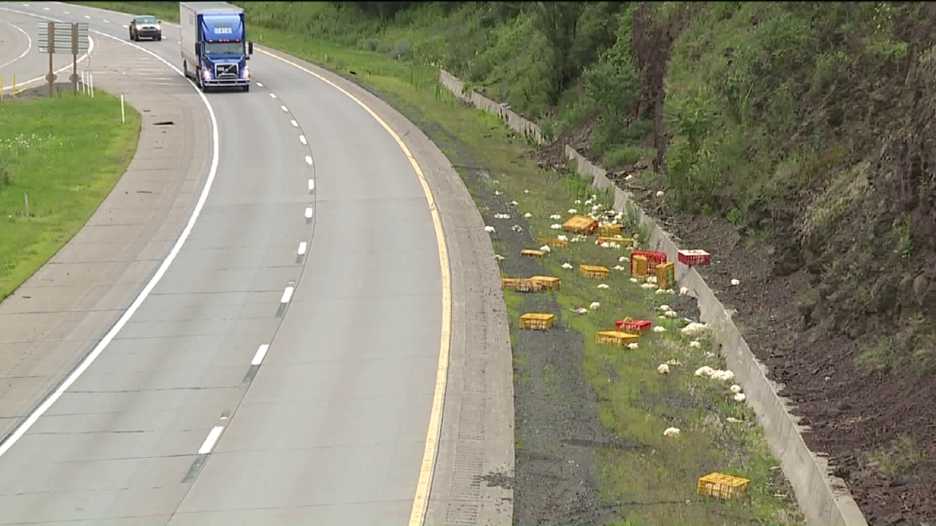 Chickens Fall from Truck along I-81