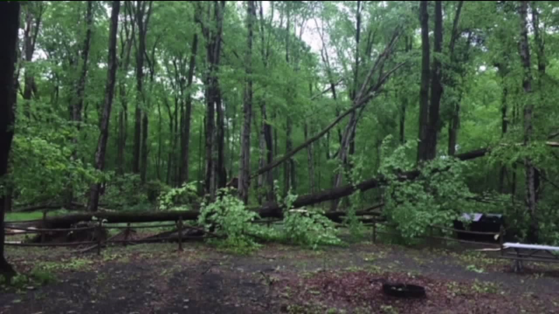 Storm Damage at Delaware Water Gap National Recreation Area Closes Paths, Campgrounds