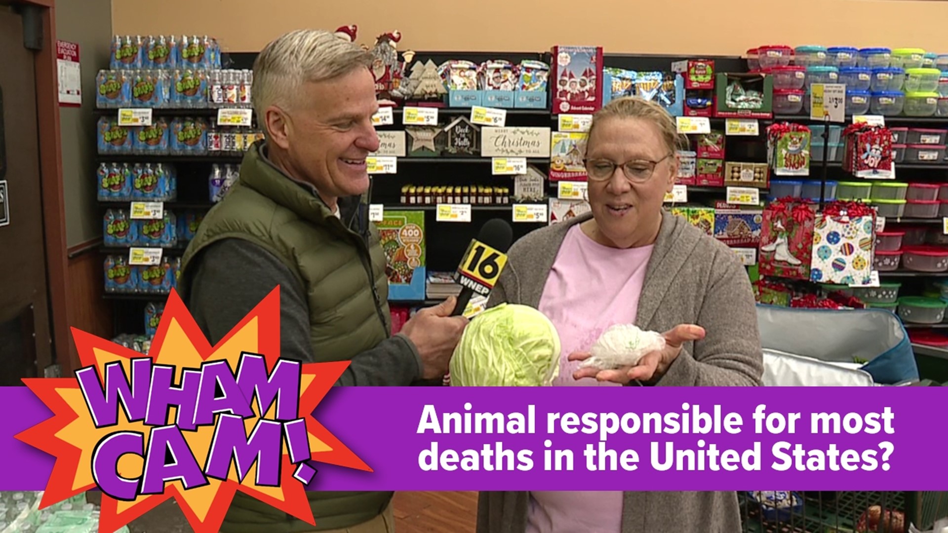 Ever wonder what animal causes the most deaths in the United States? As always, Joe Snedeker has the answer in this week's Wham Cam.