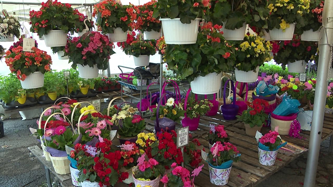 Flower Tent sees rise in business for Mother's Day