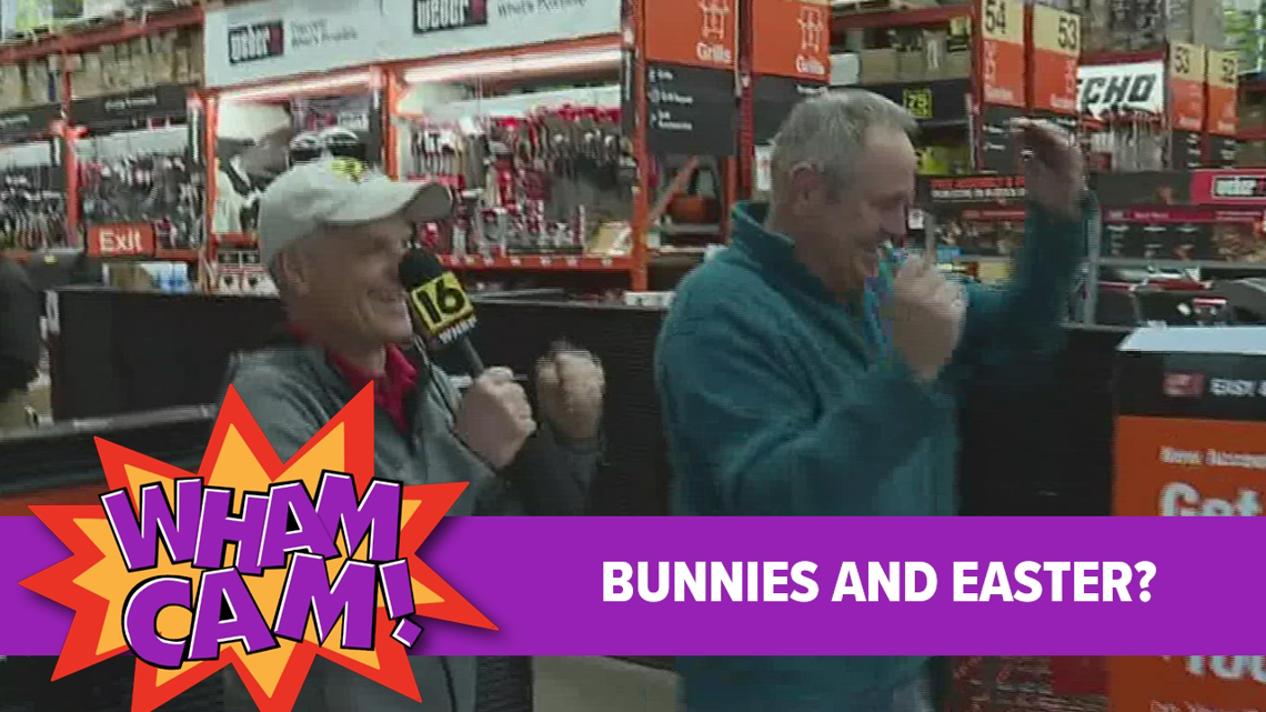 Wham Cam: Bunnies and Easter?