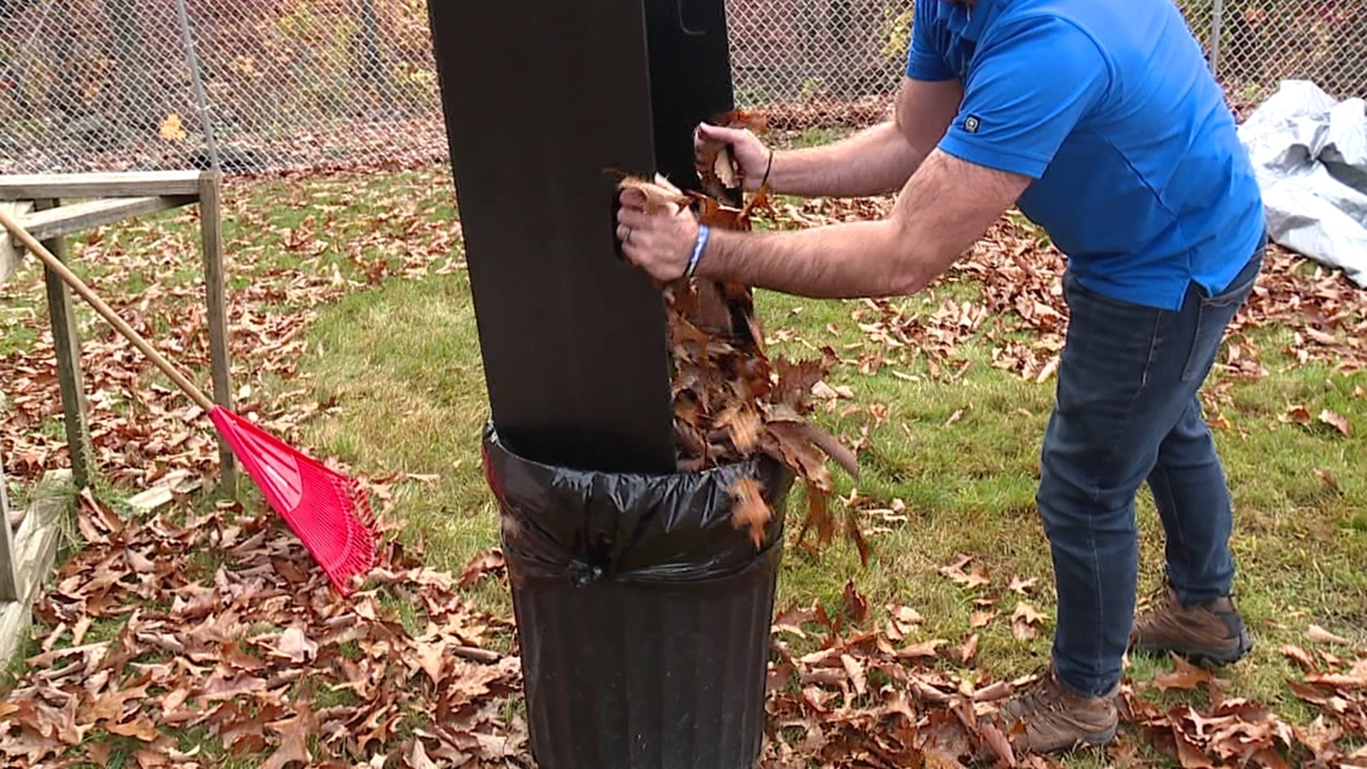 Does the Leaf Easy work?  Kurt Aaron puts it to the test.