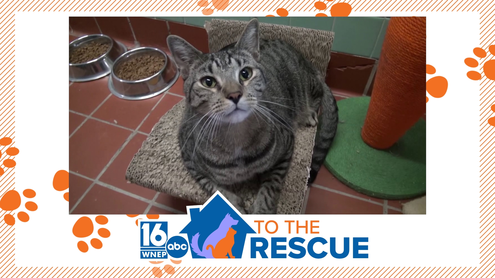 16 To The Rescue: Cal