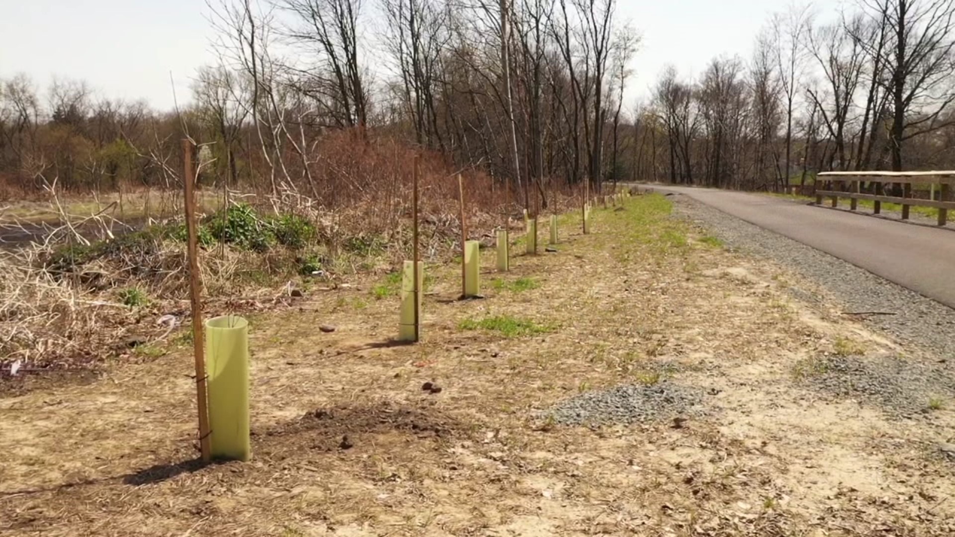 Earth Day might be over, but there is still a week left of April, and Pennsylvania American Water will plant a tree for every customer who goes paperless this month.