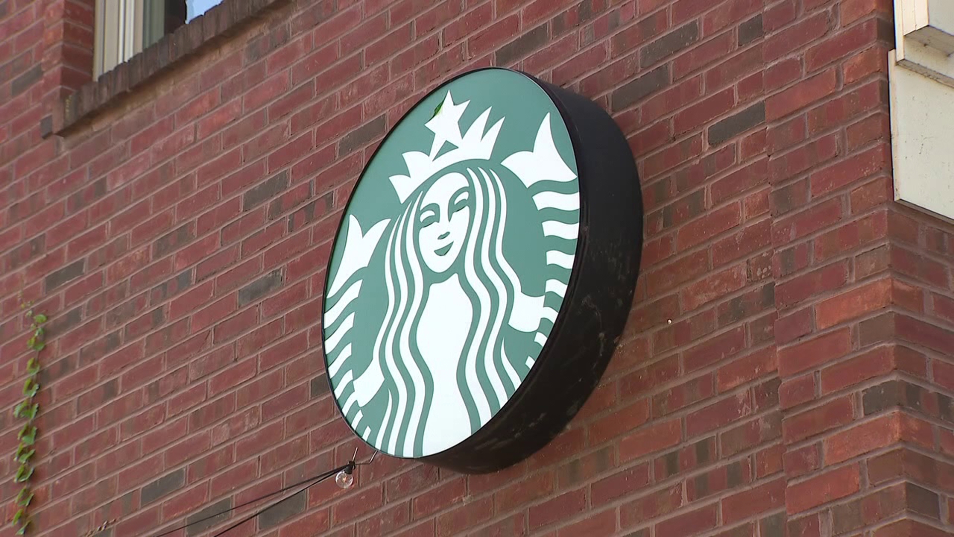 Starbucks 250-Store Closure Wave Signals Retail Real Estate Opportunity for O2O Sellers