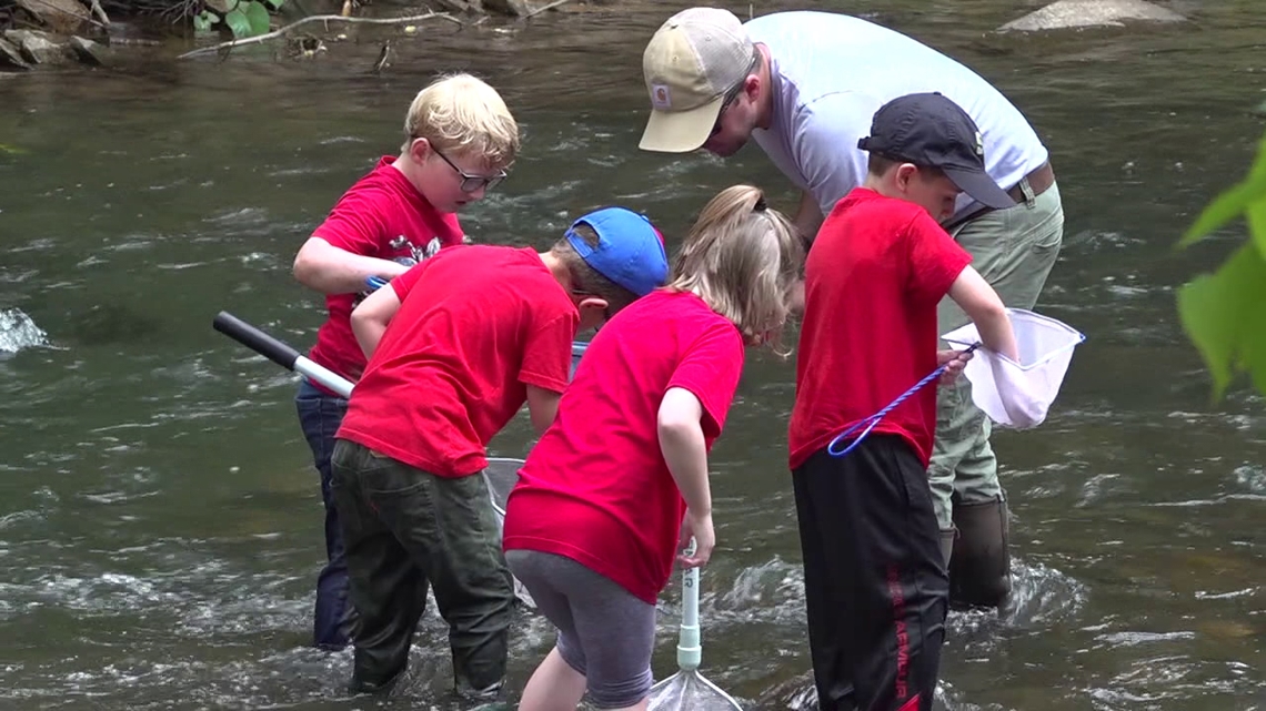 First graders enjoy Nature Day in Columbia County - Vimarsana News