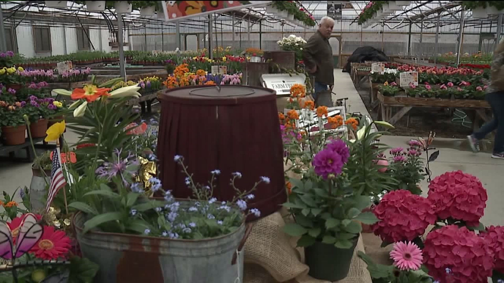 Local Greenhouse Opens for the Season