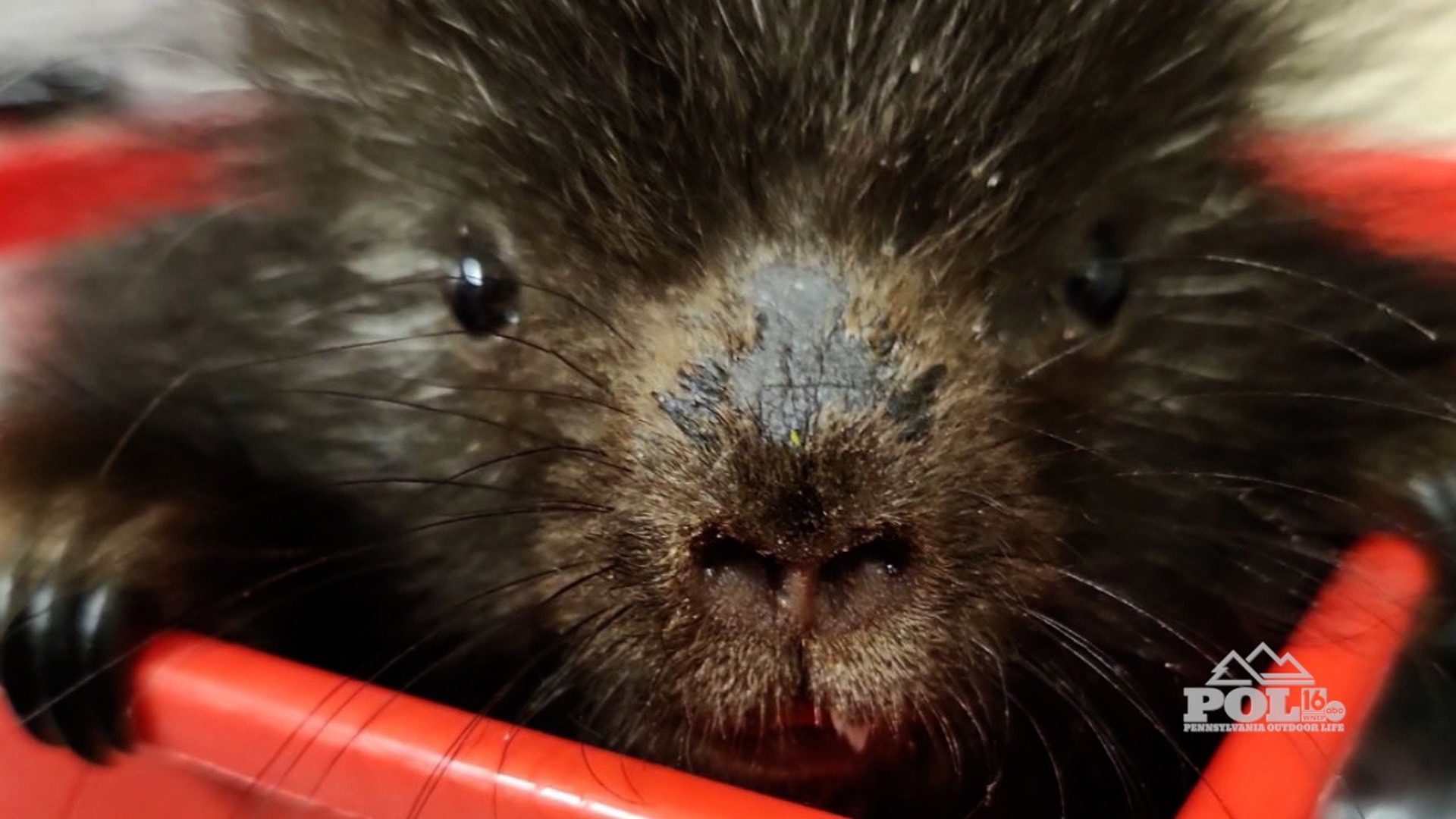 We visited the center to check in on a few animals under their care,