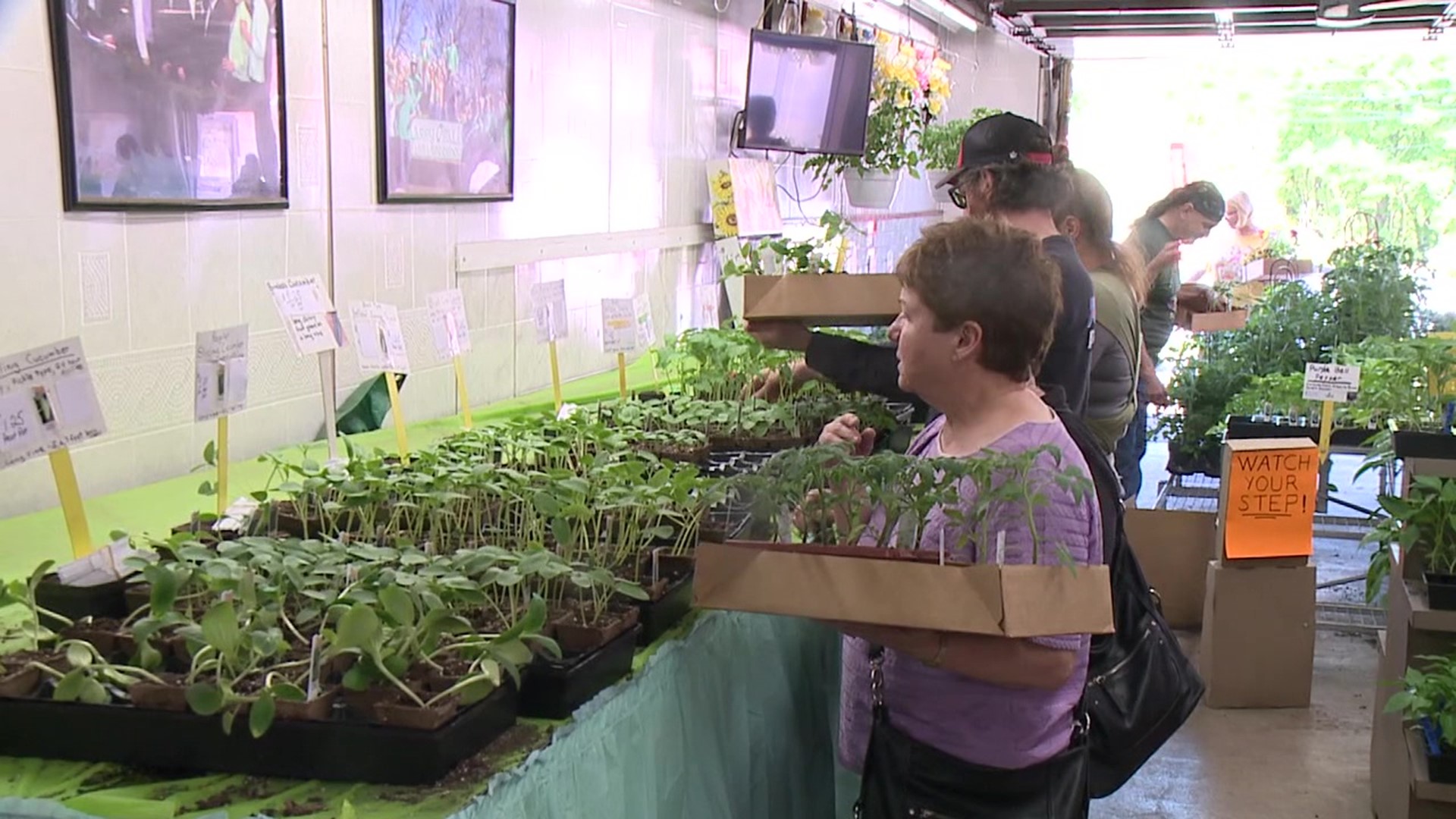 Newswatch 16's Chelsea Strub stopped by a greenhouse in Luzerne County where people are getting what they need to start a garden.