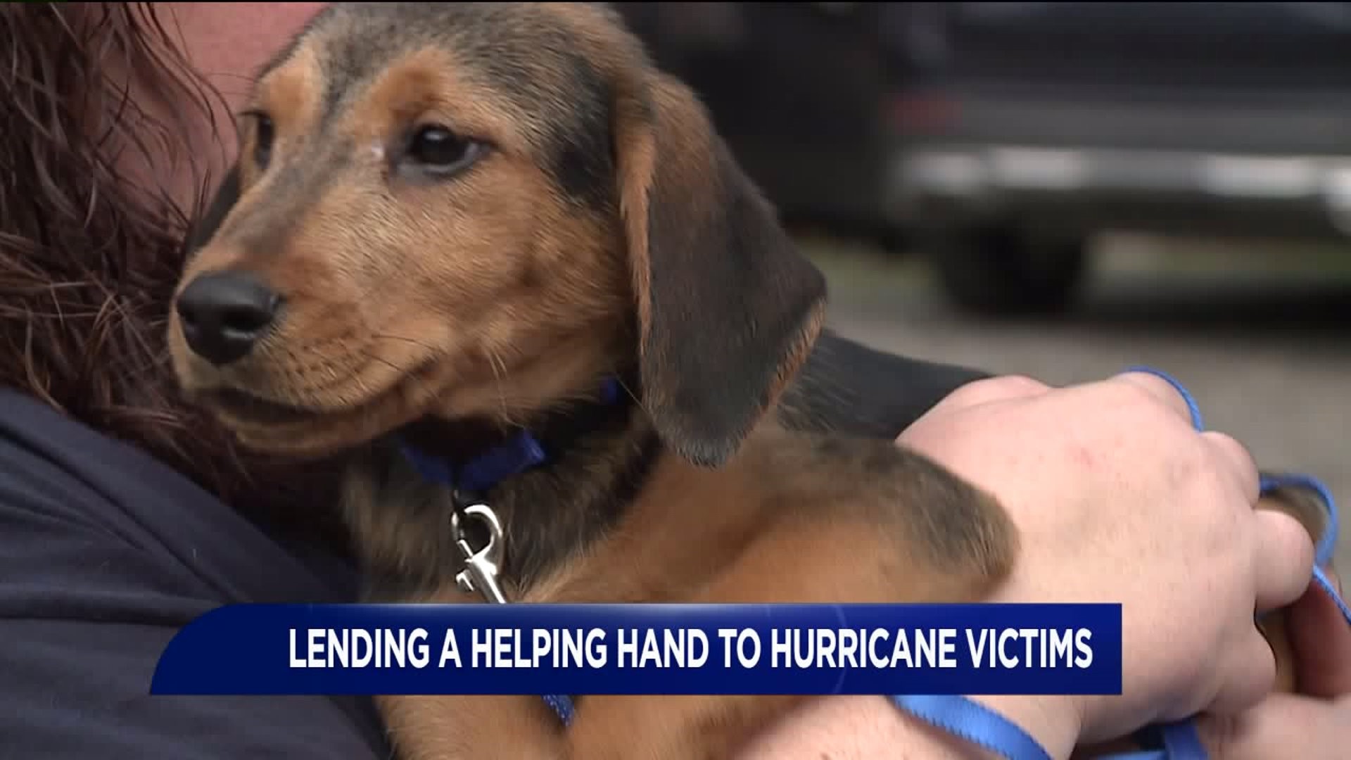 Folks in Luzerne County are Helping People and Pets from Hurricane Zone
