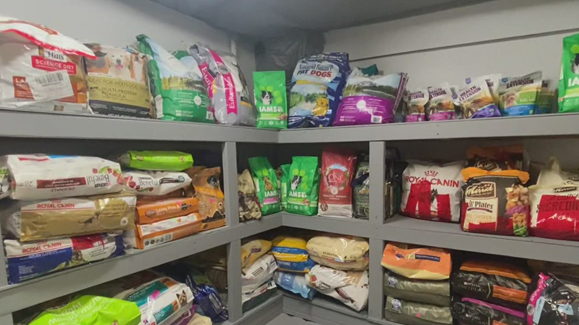 The Furry Friends Foodbank opened up Saturday morning along Route 209 in Stroudsburg the place offers pet food and supplies for families in need.