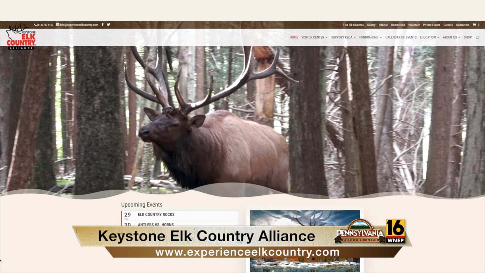 Key websites for you if you plan on visiting elk country.