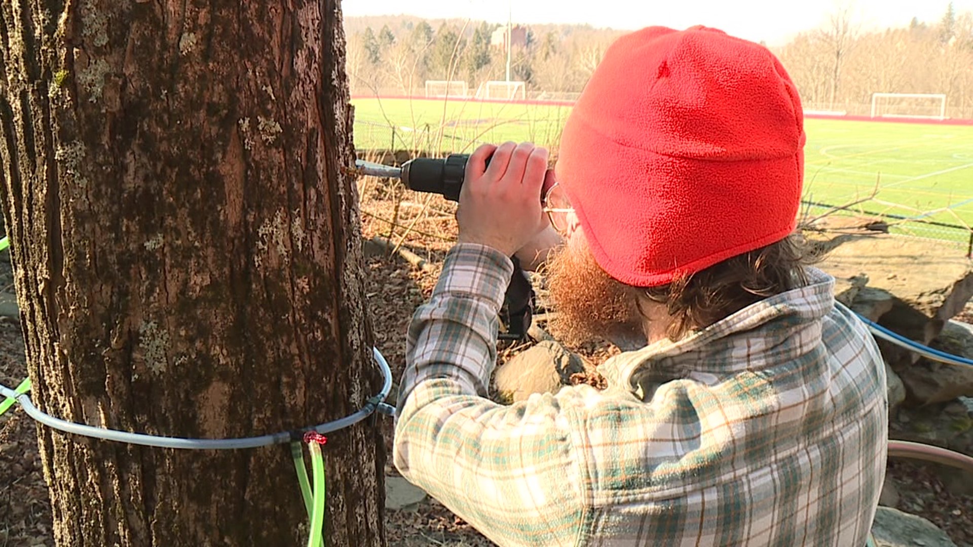 Environmental students at the college have some long days and even longer nights ahead of them over the next several weeks; it's time for maple syrup season.