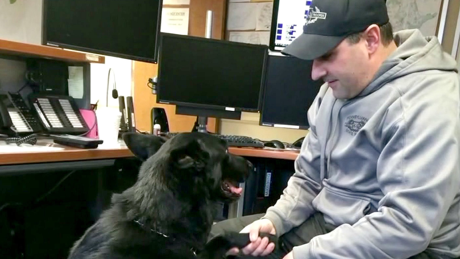 Micho was an 8-year-old German shepherd that helped get more than $15 million worth of drugs off the streets during his time with state police.