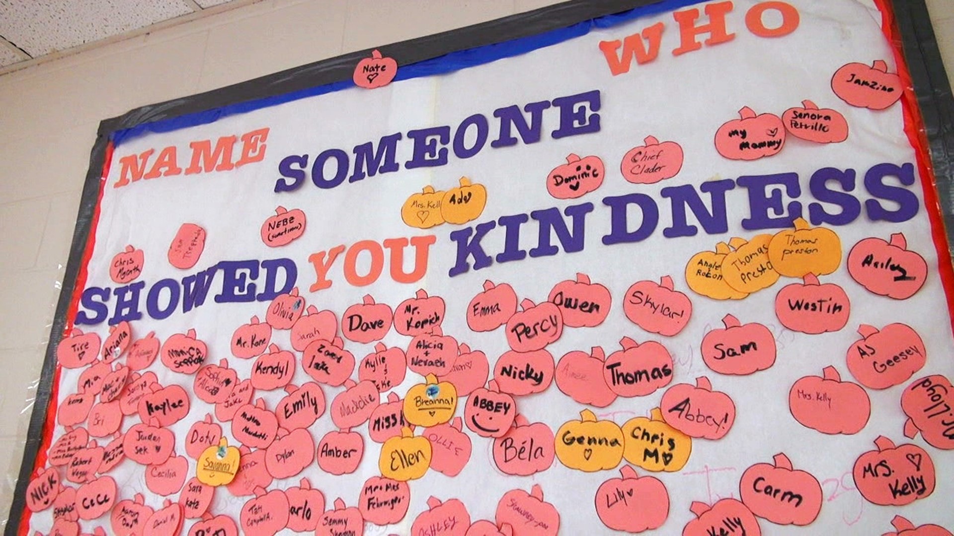 Promoting kindness with 'Go Orange Day'