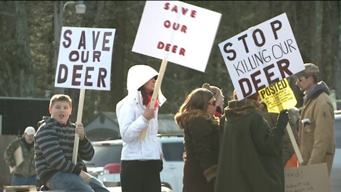 Protesters Rally Against Community’s Plan to Kill Deer | wnep.com