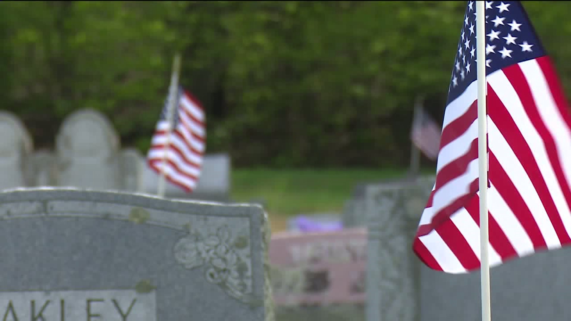 Veteran Honors the Fallen