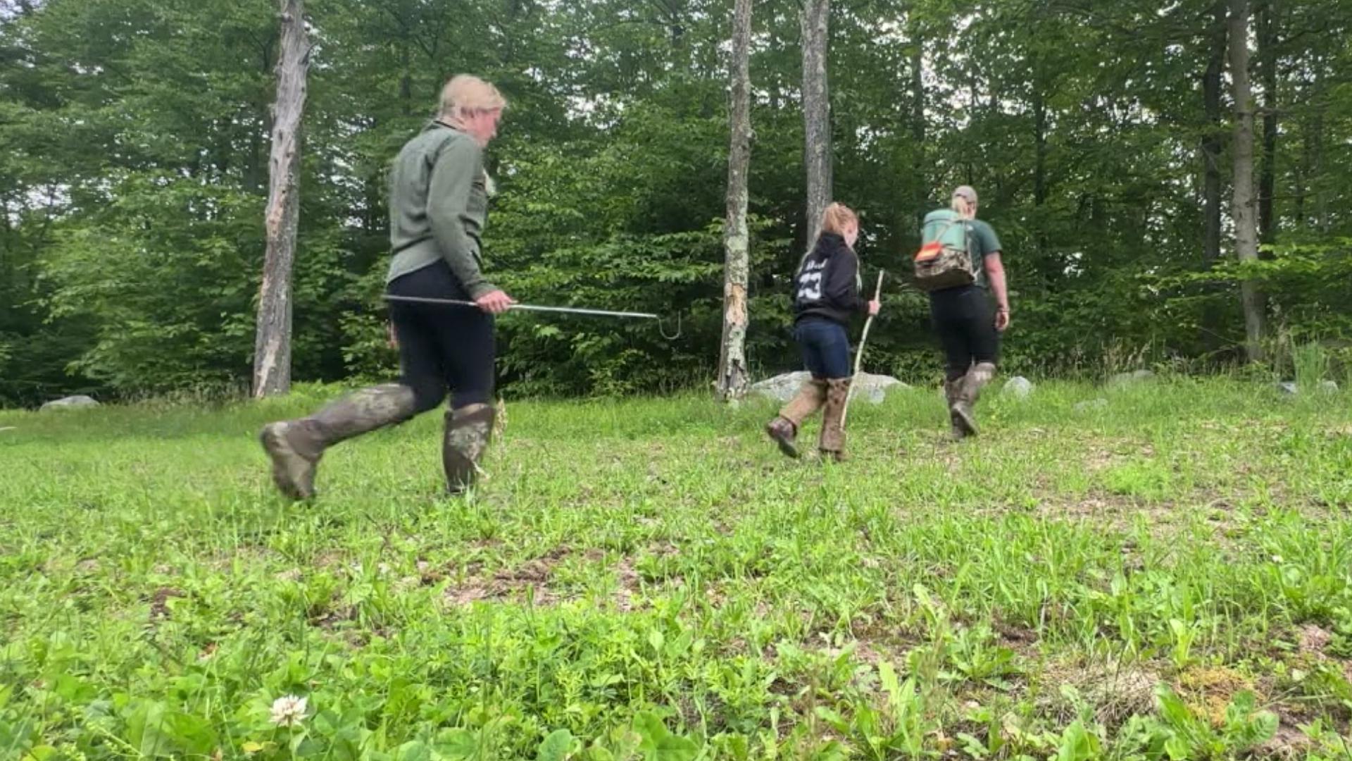 There is a fascination with the Rattlesnake Round-Up in Wyoming County, but where do these snakes come from, and who is brave enough to go out and hunt them?
