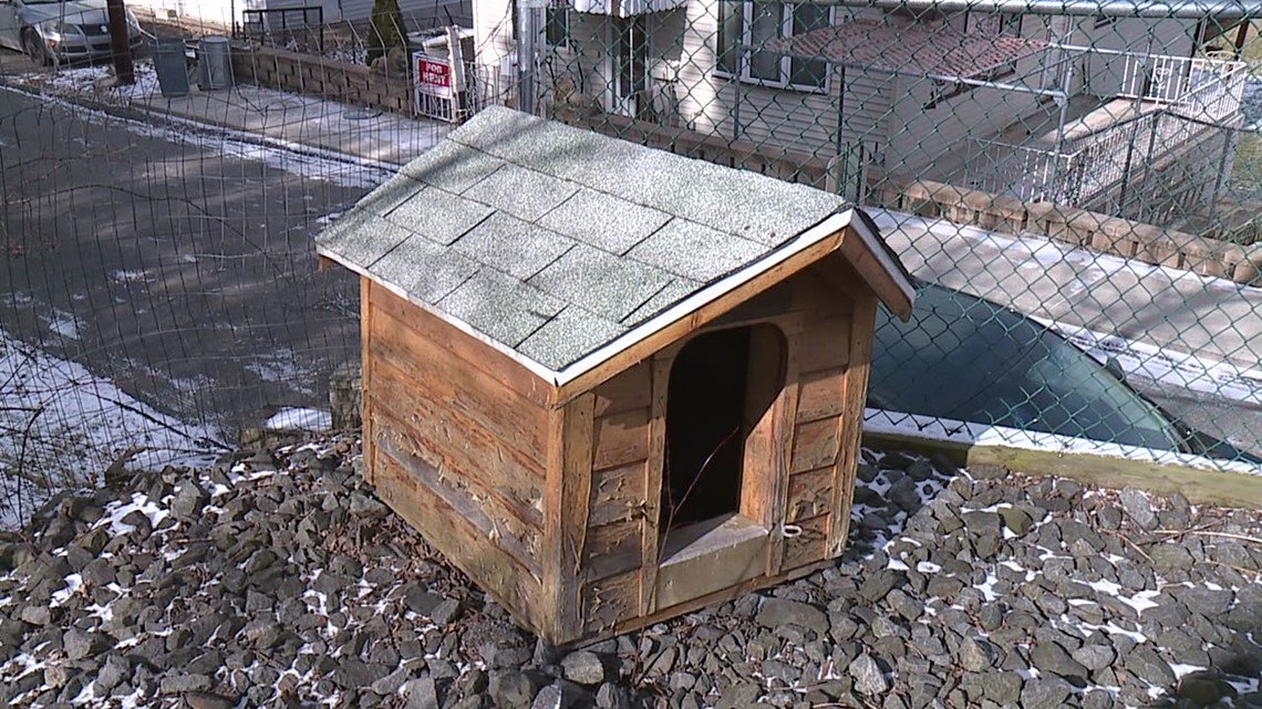 Protecting pets in the cold in Lackawanna County - Vimarsana News