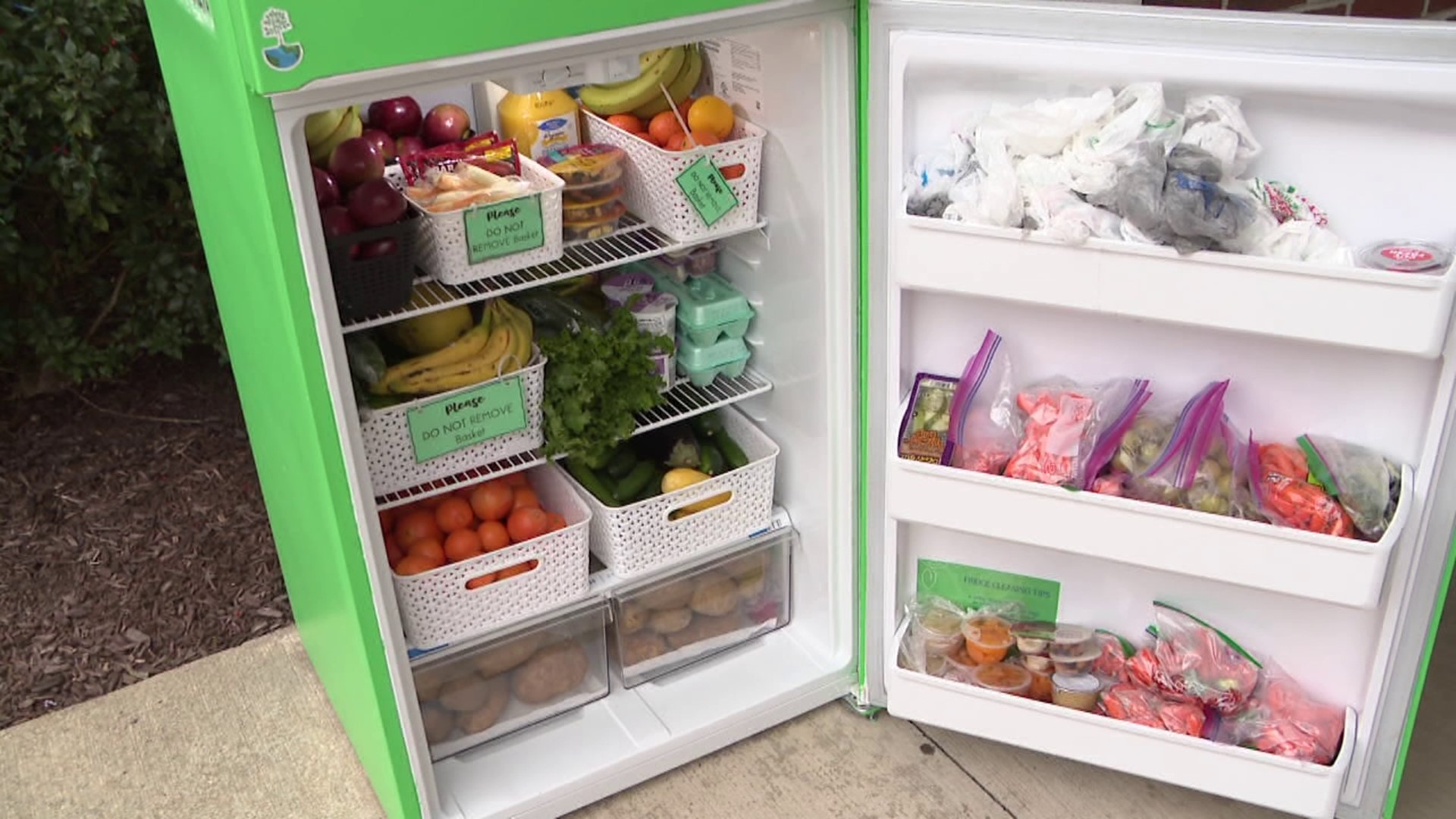 VIDEO]: Deep Freezer Organization