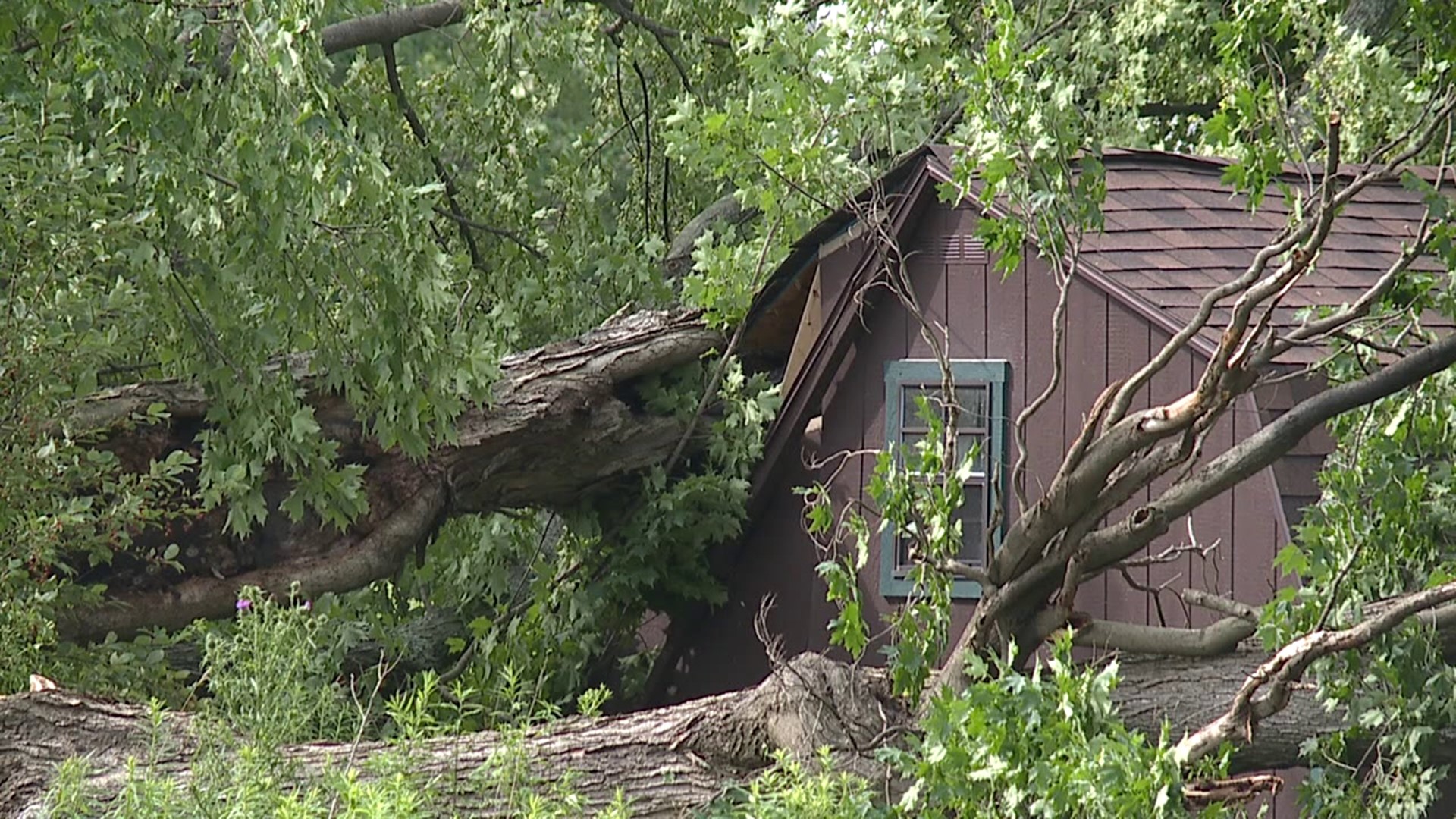 The storms that swept through much of northeastern and central Pennsylvania Monday night left families waking up with a mess to clean up.