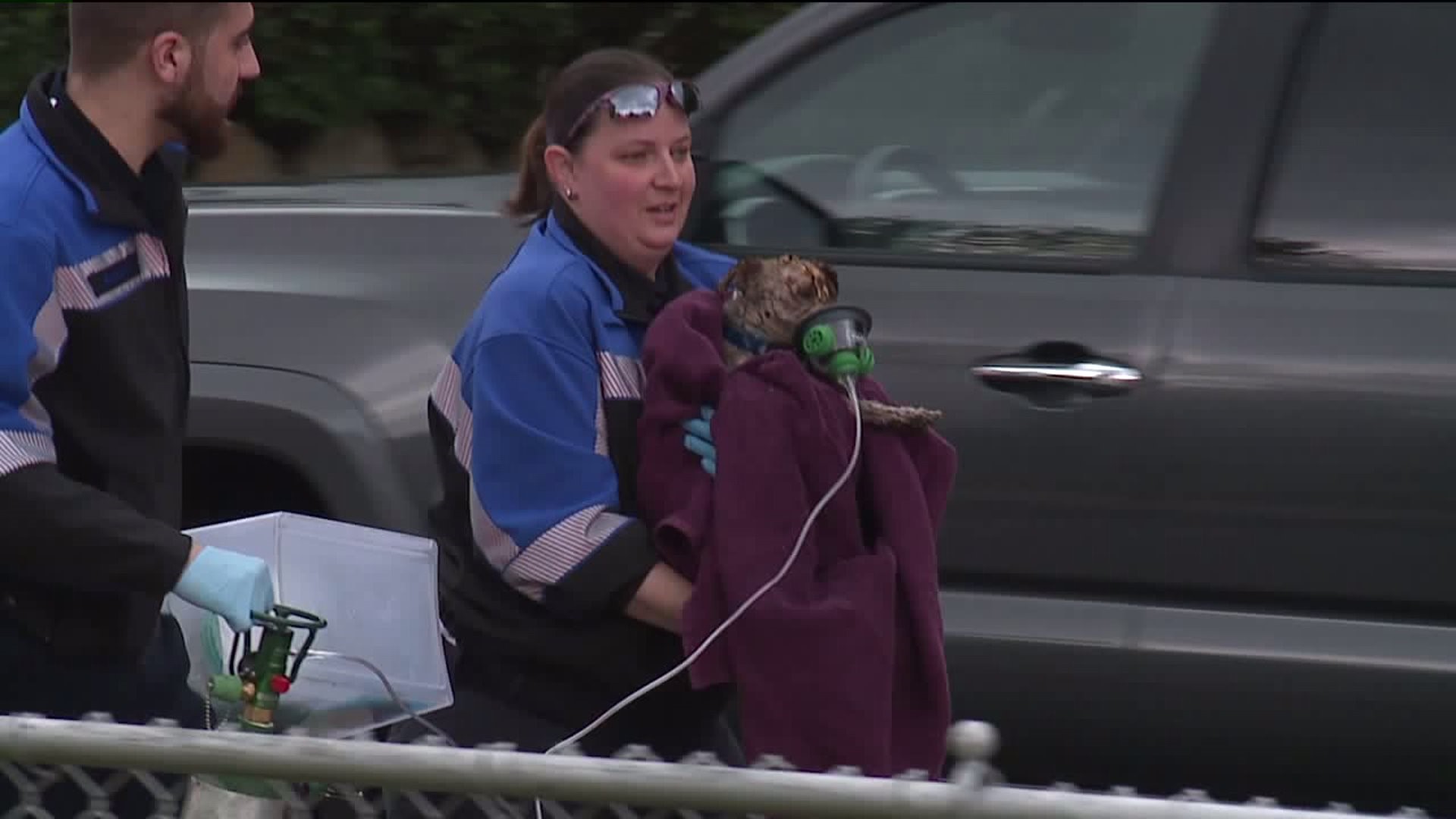 Couple, Dog Rescued from Scranton Fire