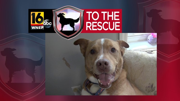 16 To The Rescue: Buford
