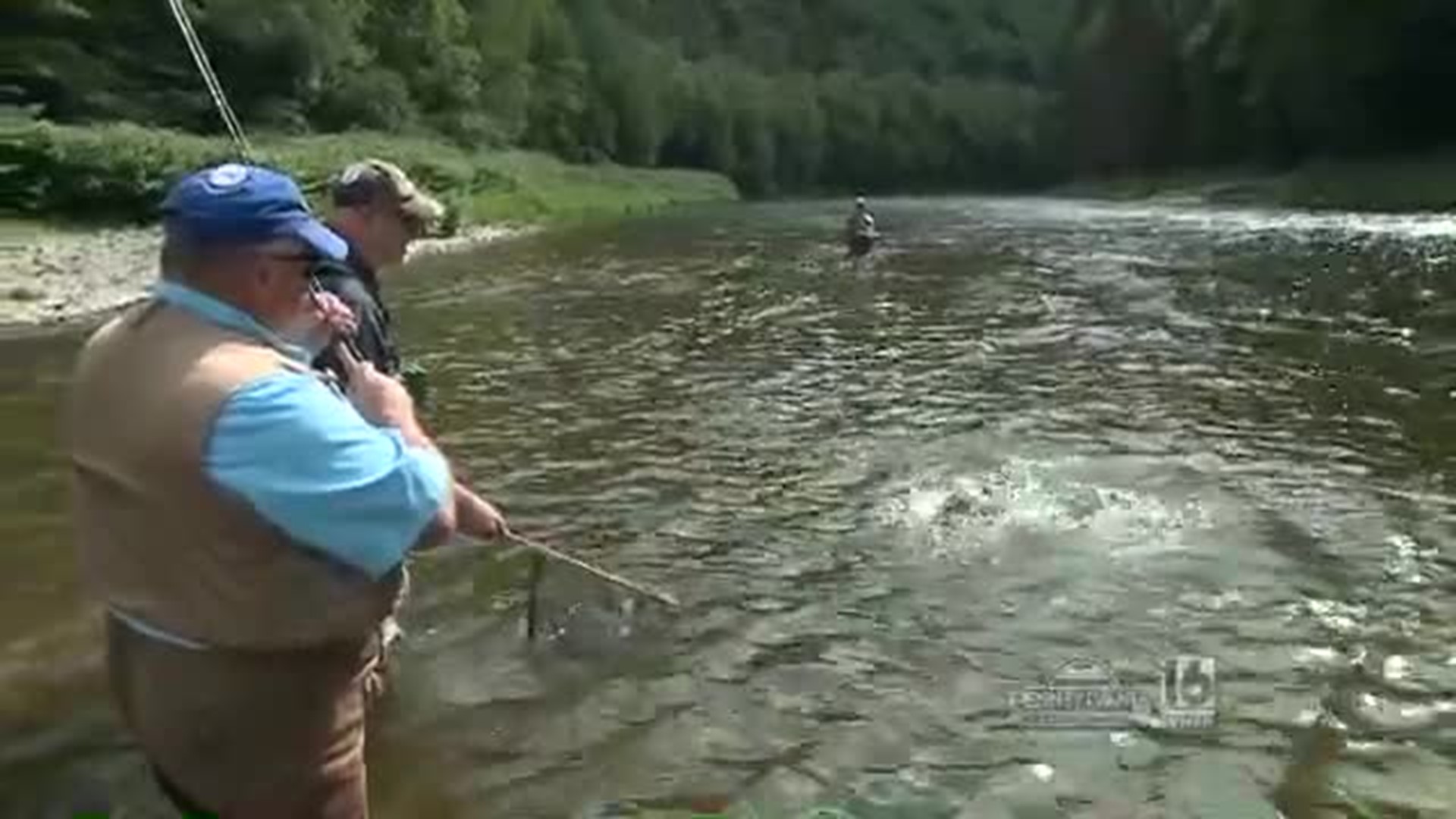 Beaverkill River Flyfishing