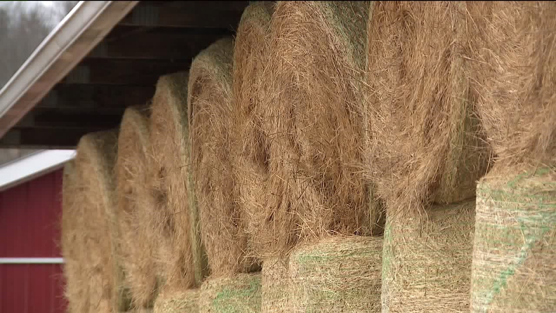 County Connecting Farmers During Hay Shortage