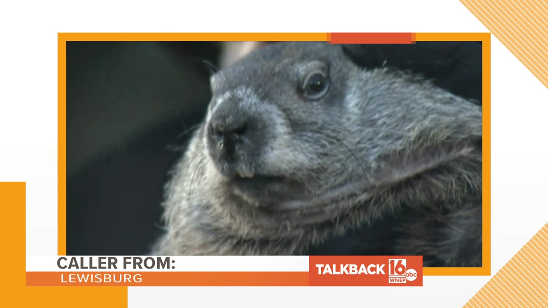 It's Groundhog Day, you know what that means: calls about Punxsutawney Phil.