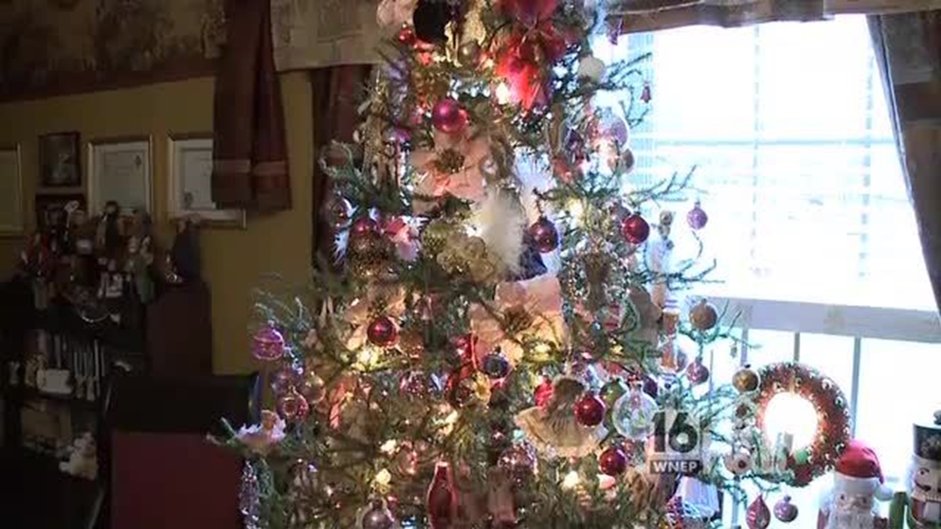 24 Christmas Trees