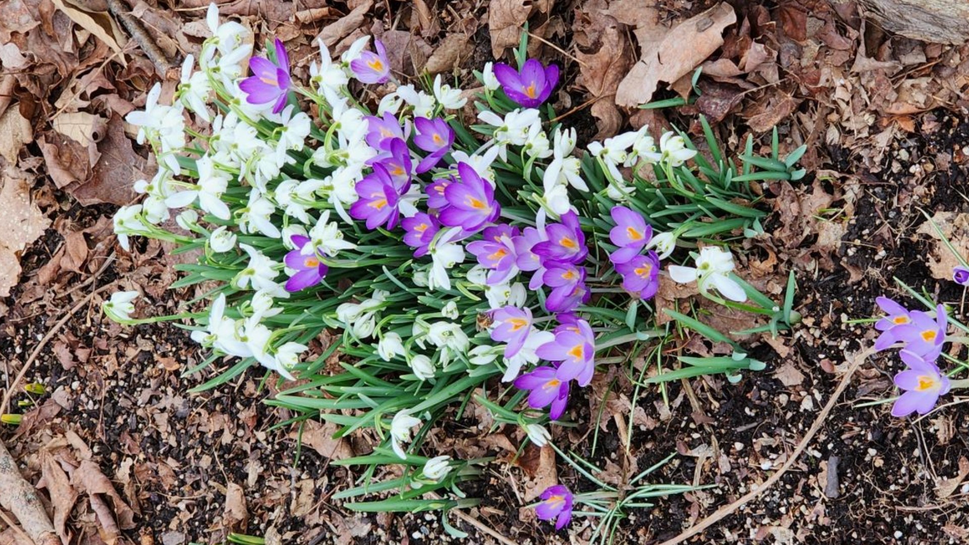 Mike Stevens has been keeping track of the passing season. There are sure signs in the PhotoLink Library that say, "Bye-bye, winter."