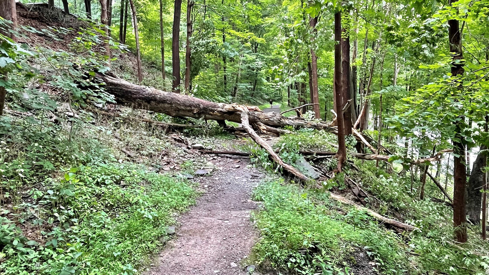 An organization that maintains the trail is warning users of the dangers and trying to get the hazards cleared away.