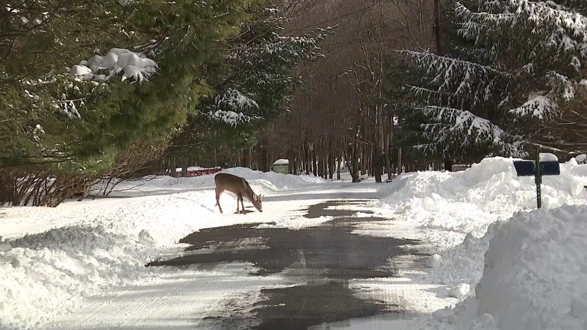 Snow drifts and heavy winds overnight made for a tough clean up in Lake Harmony.