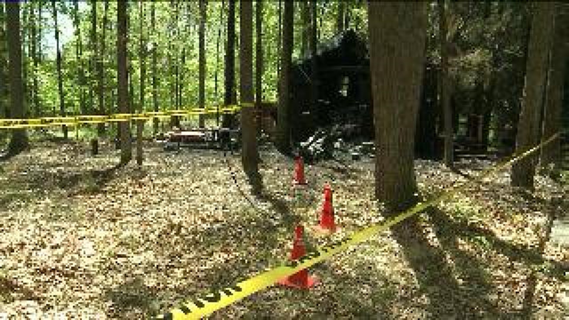 Cabin Destroyed by Fire in Wayne County