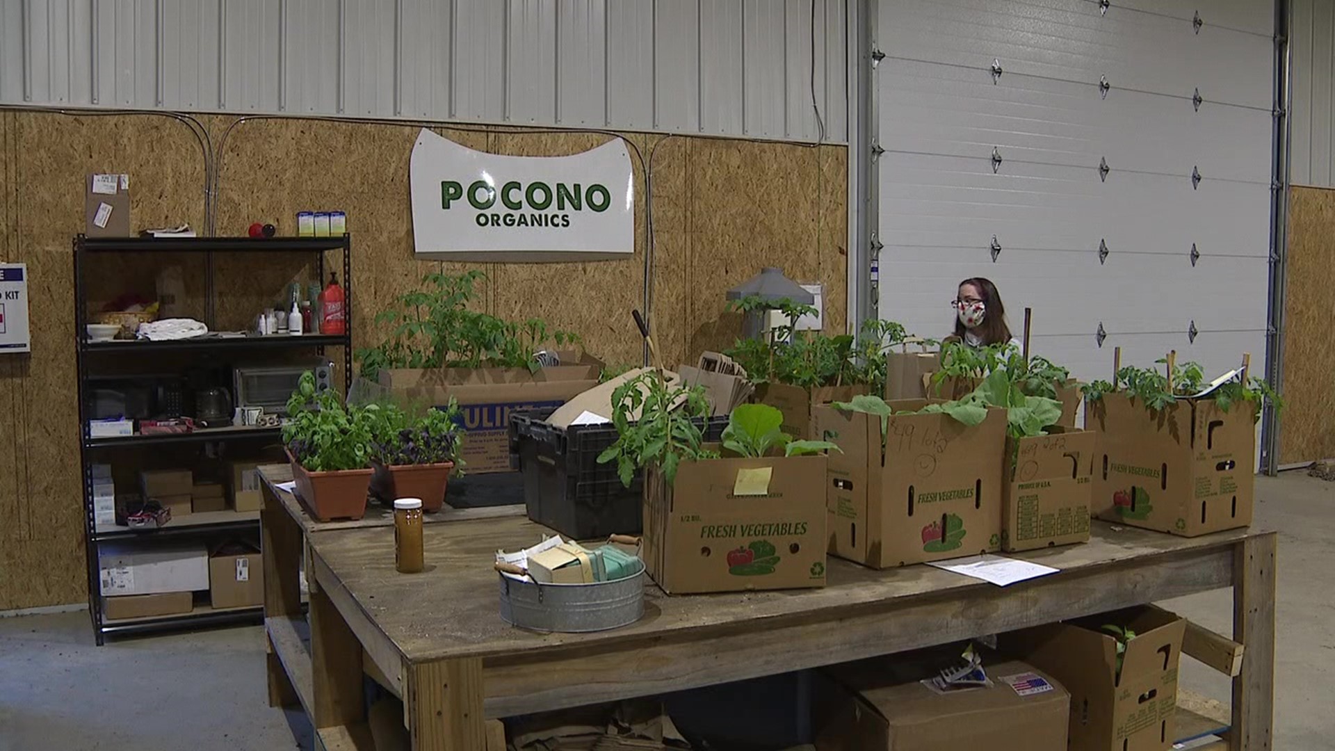 Pocono Organics, near Long Pond, opened its barn doors to people looking to get fresh produce.