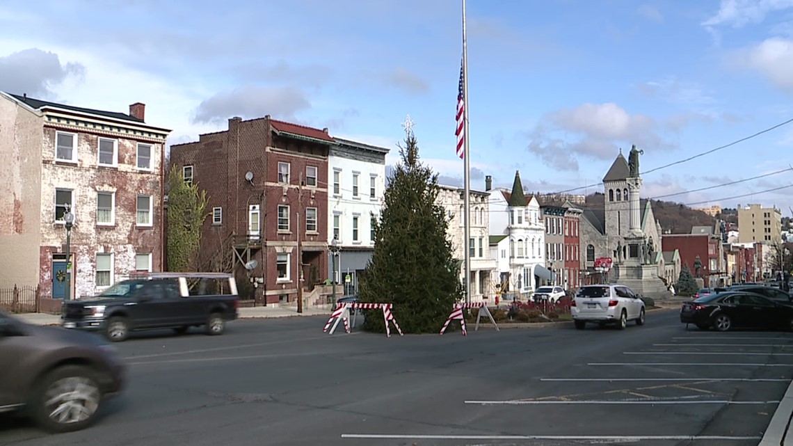 New tree in Pottsville after crash