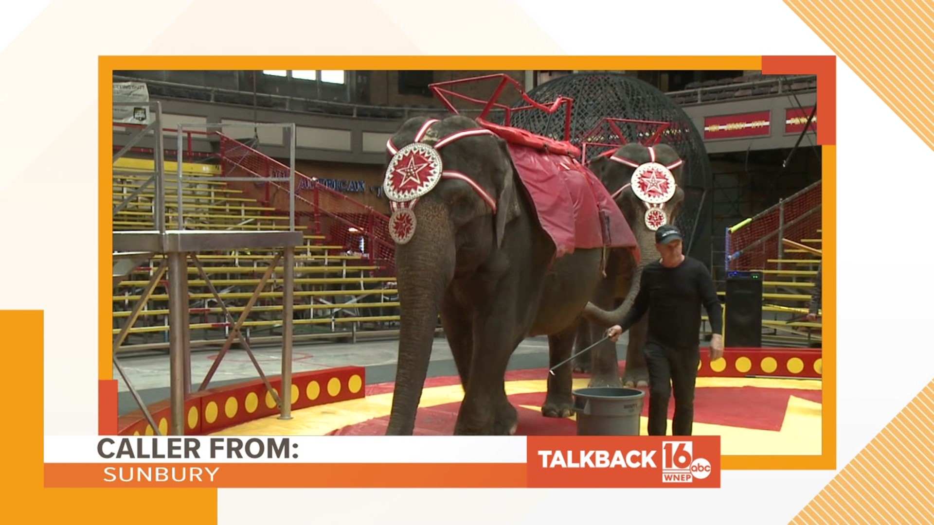 A caller from Sunbury feels that the circus should not continue to use elephants in their shows.