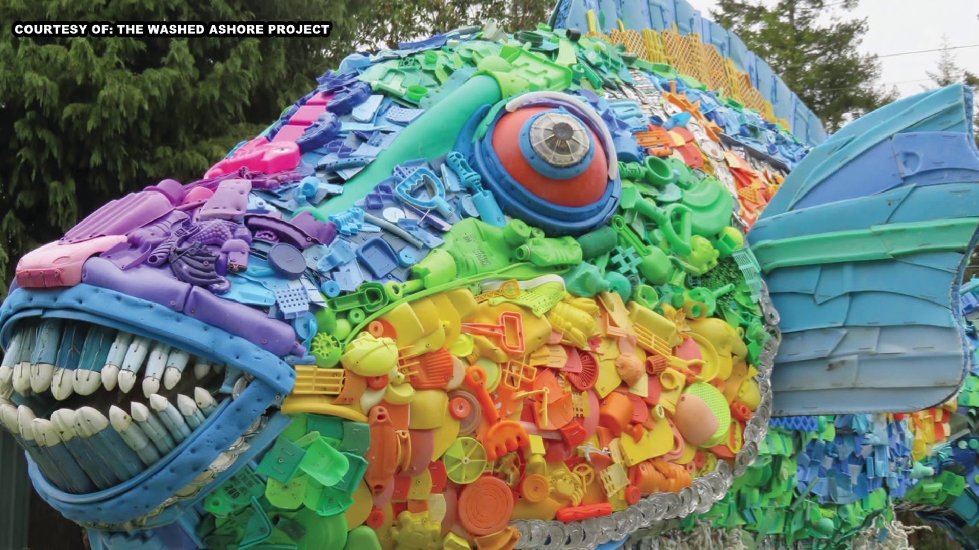 Turning trash into art through local cleanup effort | wnep.com