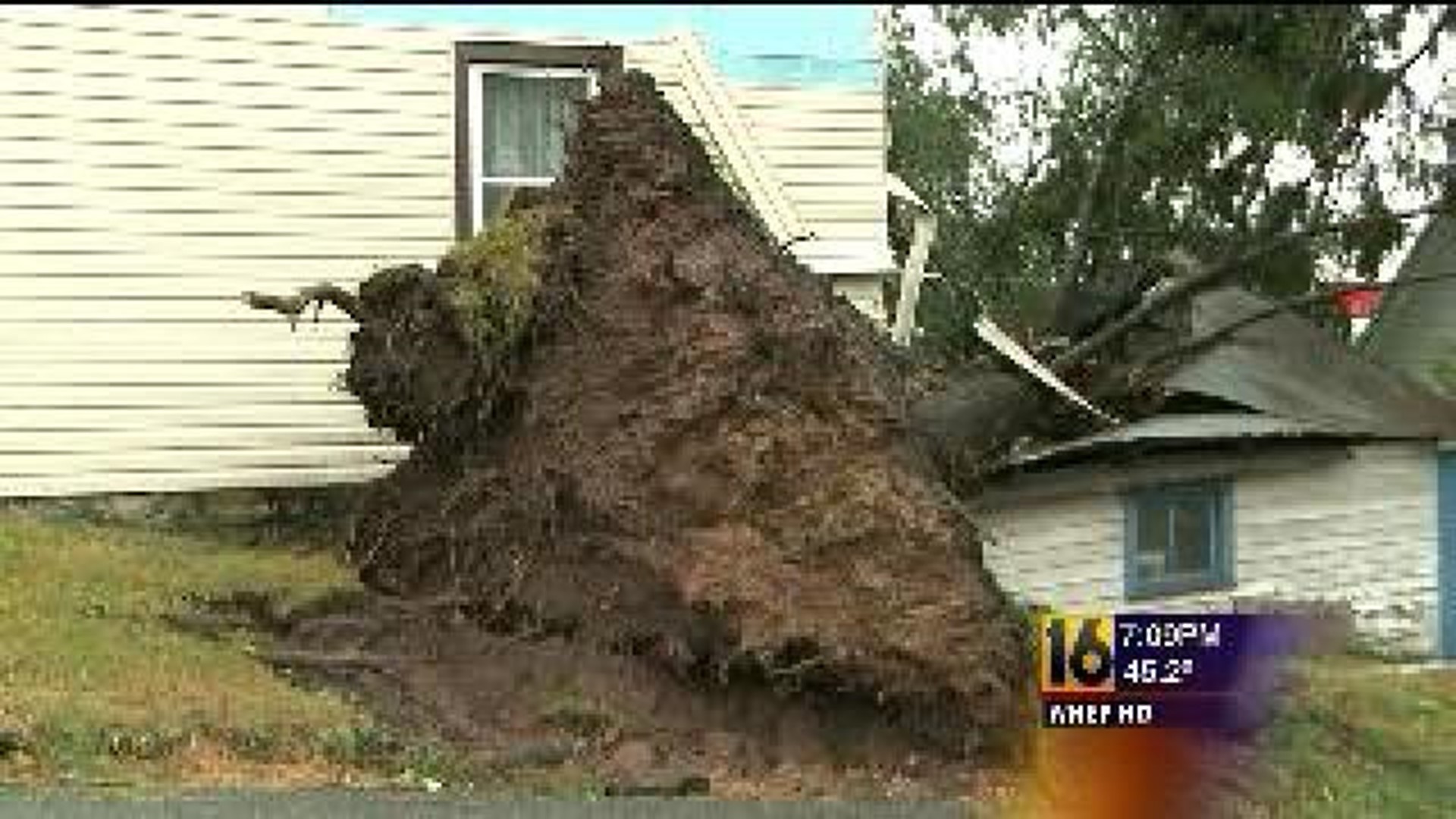 Storm Damage in Union County