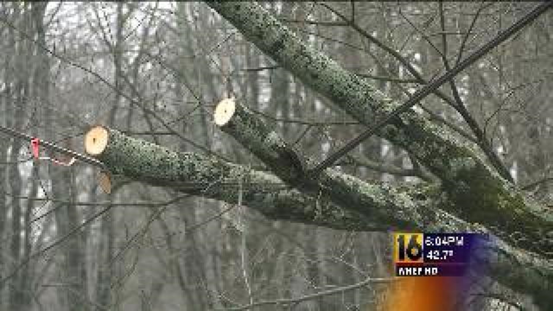 Day Three Without Power In Wayne County