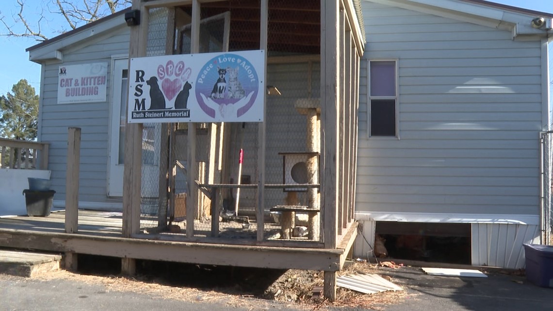 Burst pipe at Ruth Steinert memorial SPCA causes problems - Vimarsana News