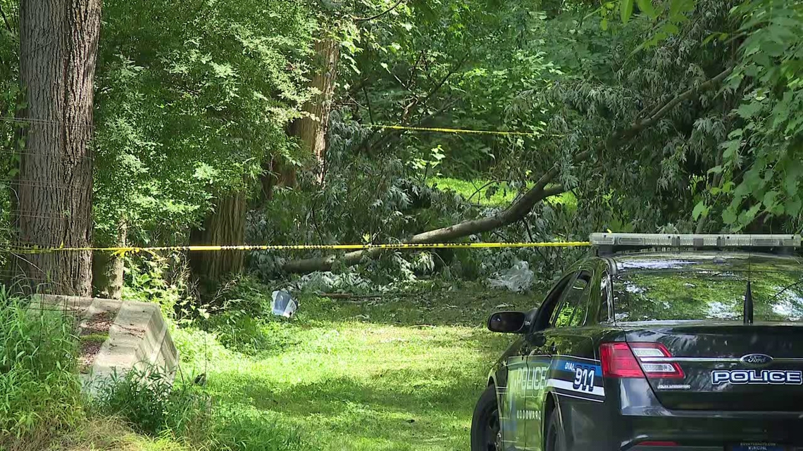 Plane crashes in Clinton County | fox43.com