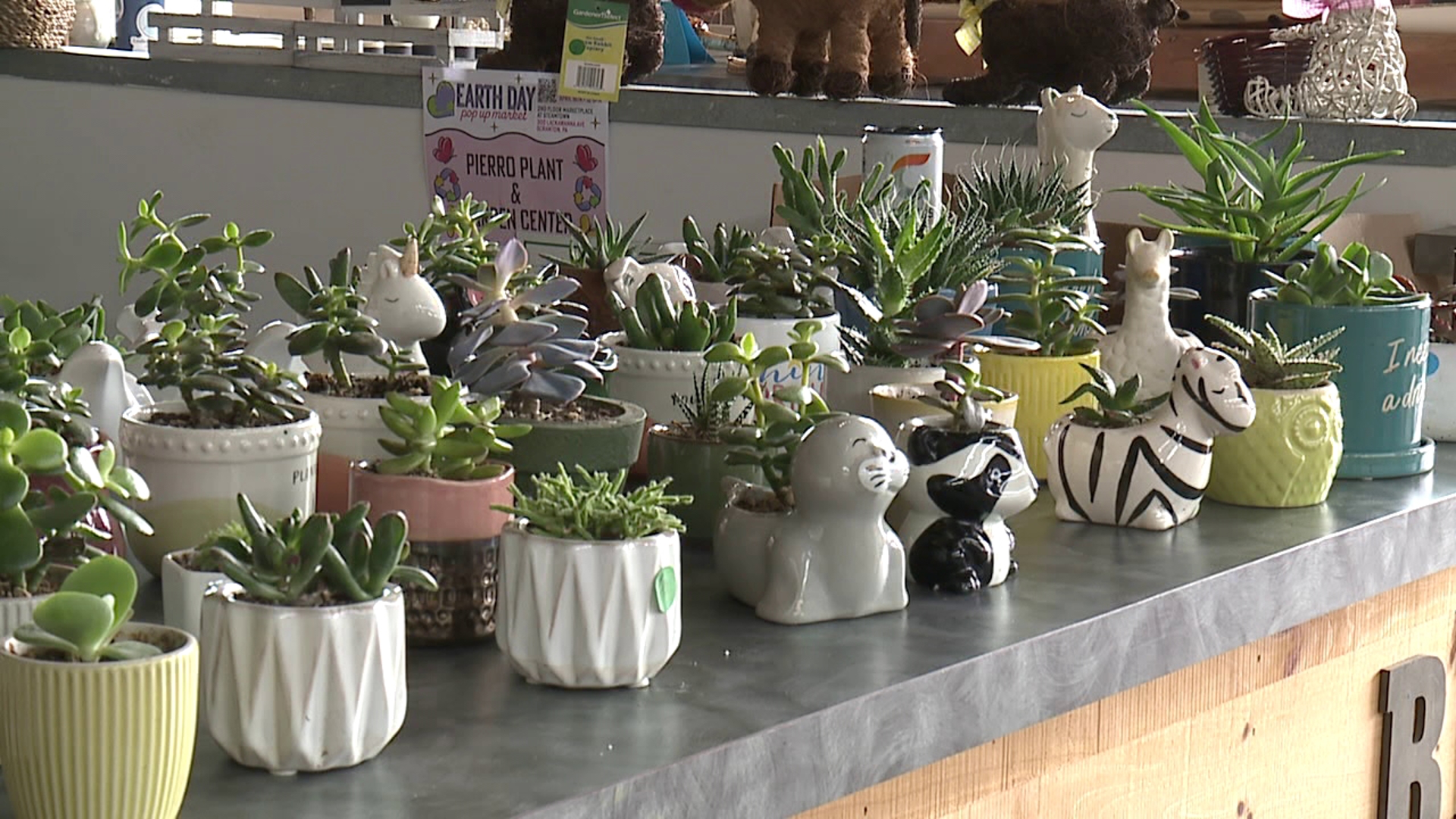 wnep.com - Katrina Morgan - America 250 license plates roll out in multiple states with designs that celebrate patriotism