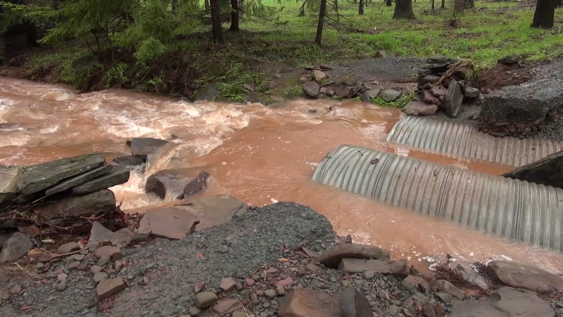 Flash flooding and runoff from strong storms hit parts of our area overnight, closing roads and causing damage.