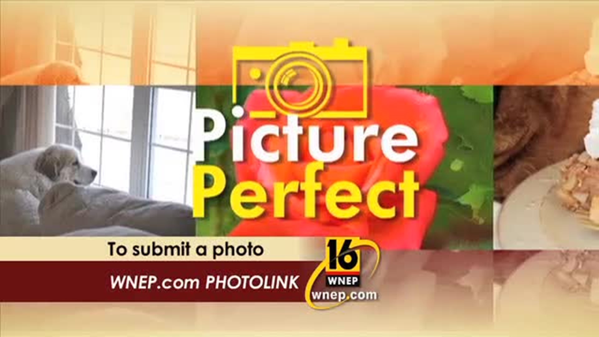 Picture Perfect 6-10-2017